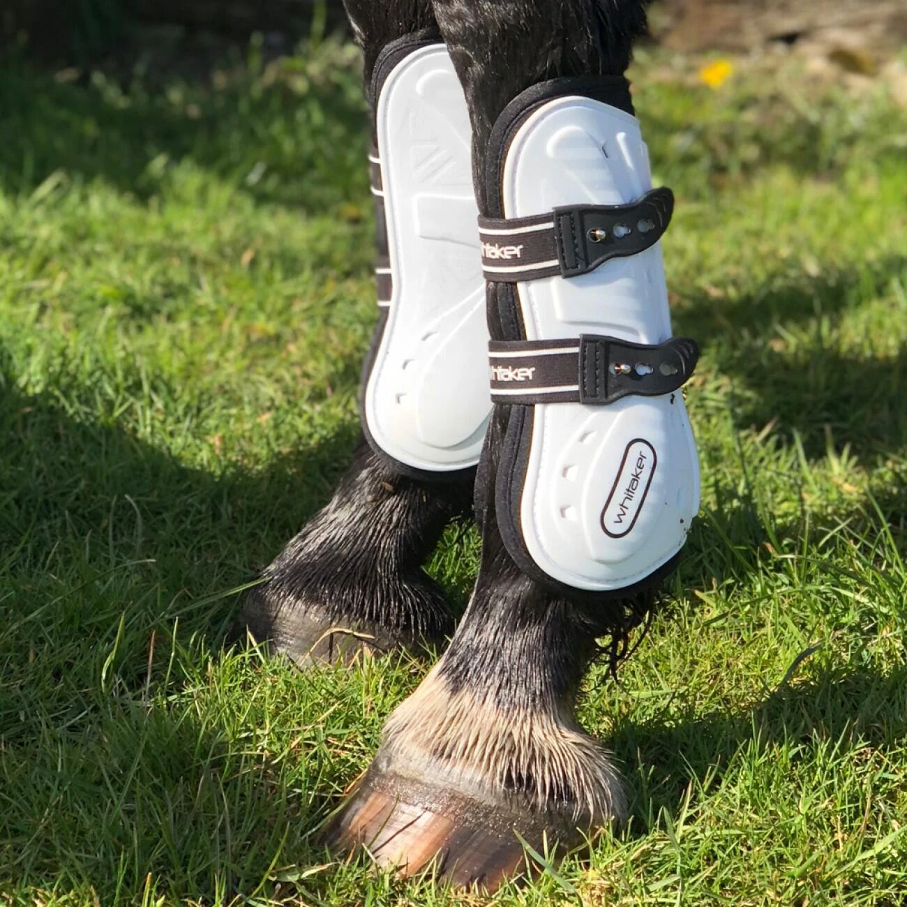 Bingley Tendon And Fetlock Boots - Image 5