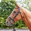 Lynton Flash Bridle With X2 Browbands