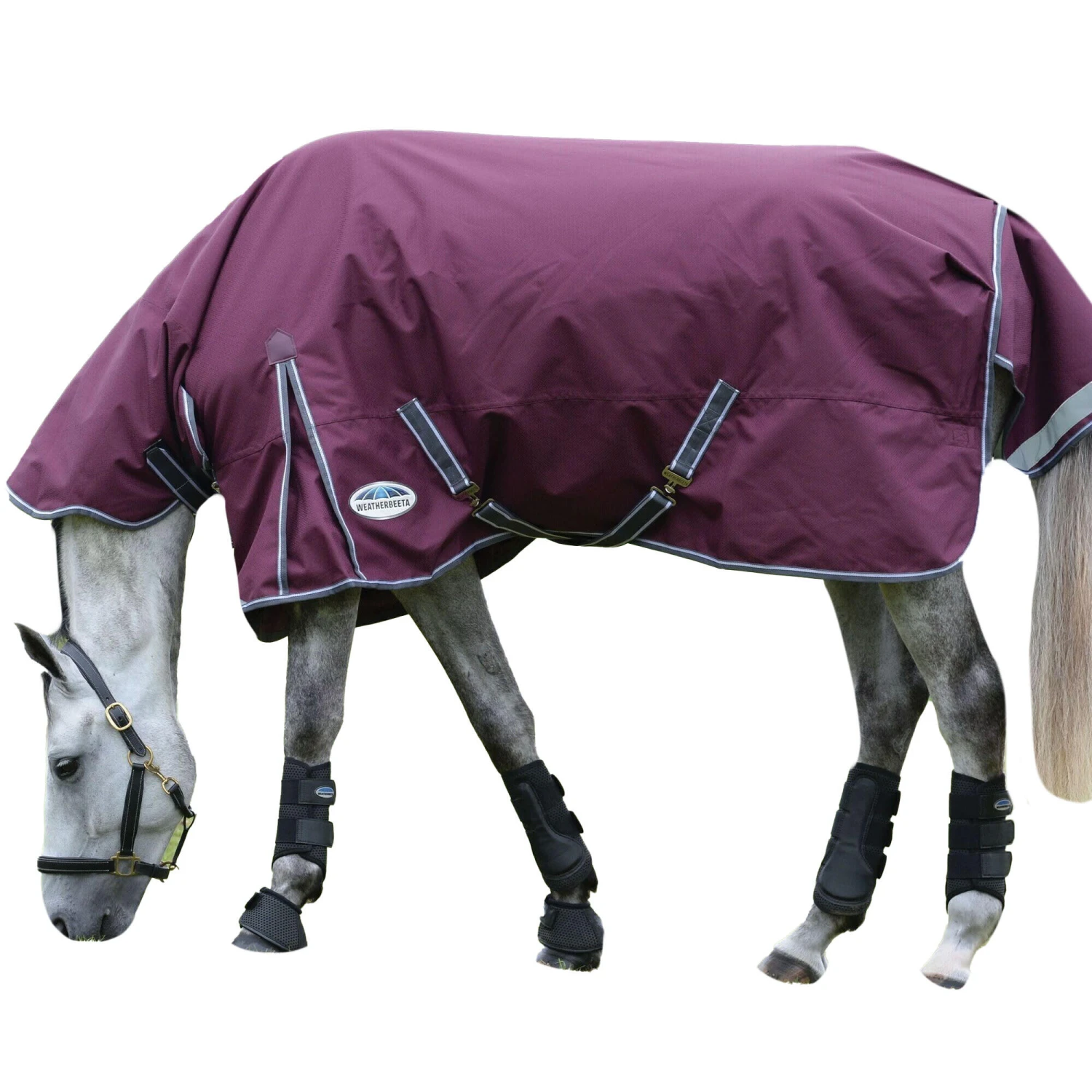 Weatherbeeta Comfitec Plus Dynamic II Combo Neck Medium Lightweight Horse Turnout Rug - Image 3