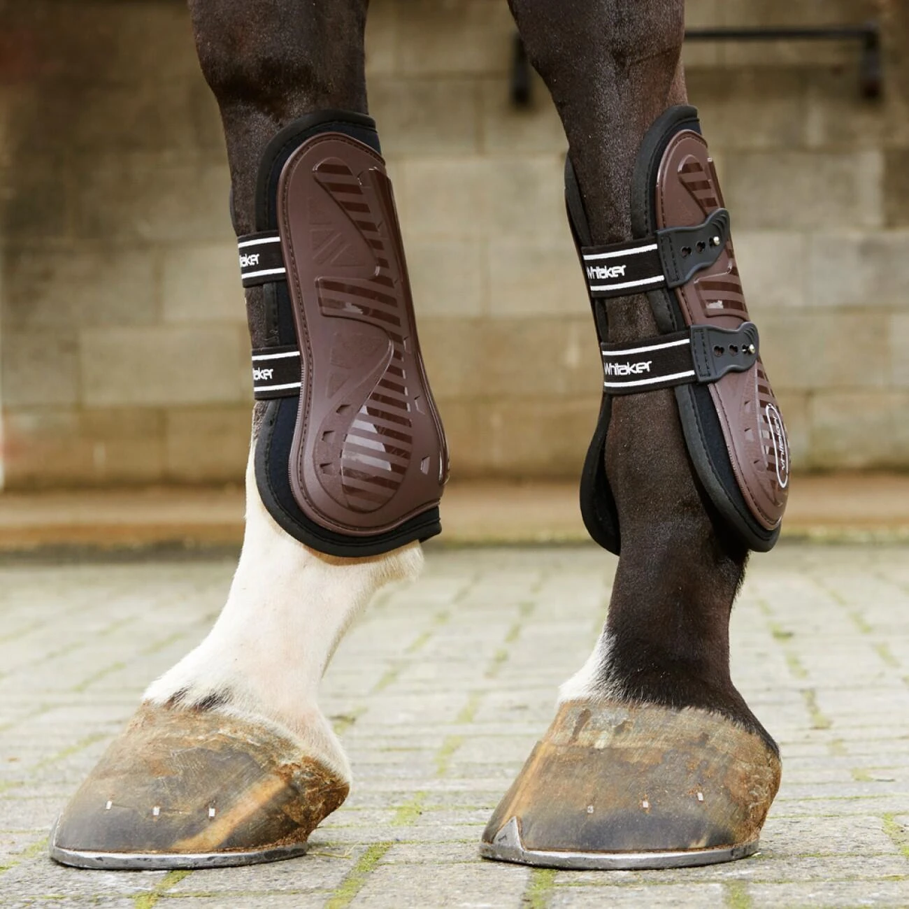 Bingley Tendon And Fetlock Boots - Image 3