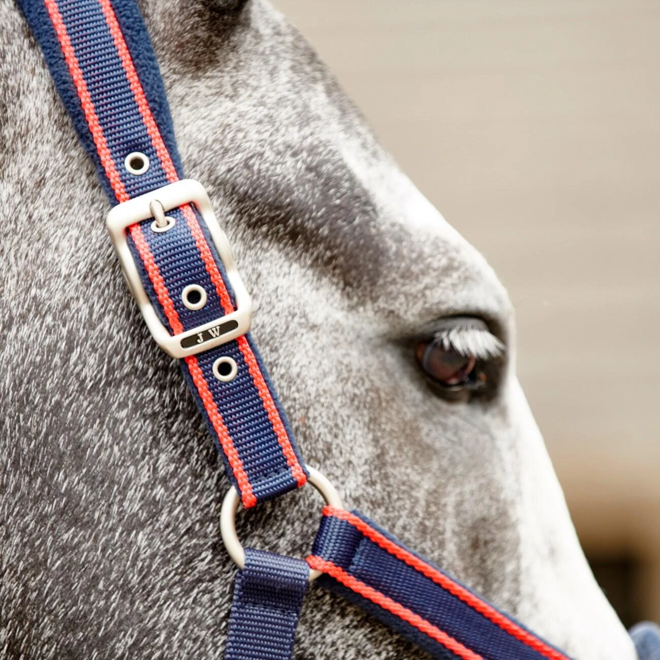 AIRFLOW HEAD COLLAR WITH LEADROPE SET - Image 4