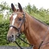 Lynton Snaffle Bridle With X2 Browbands
