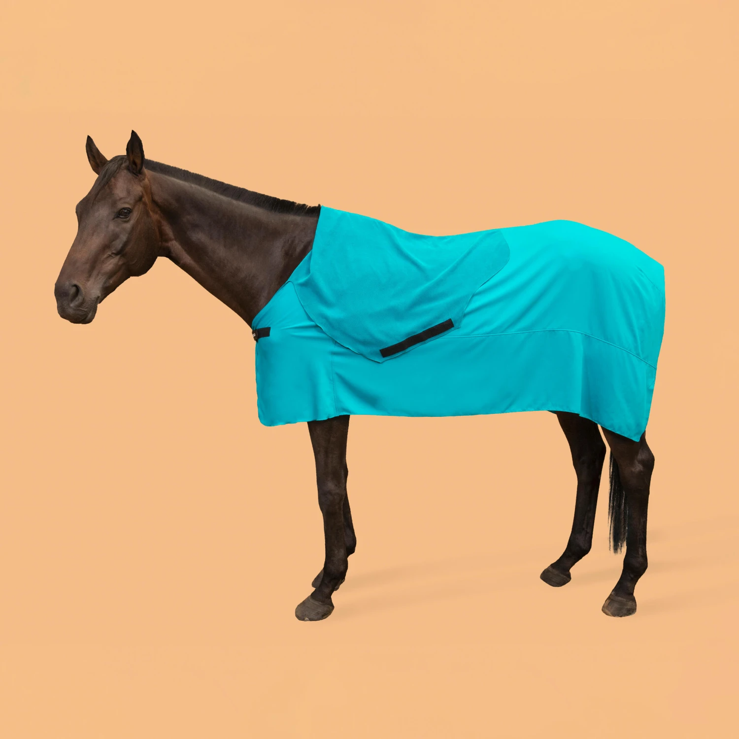 Horse Riding Full Microfibre Drying Sheet For Horse - Image 2