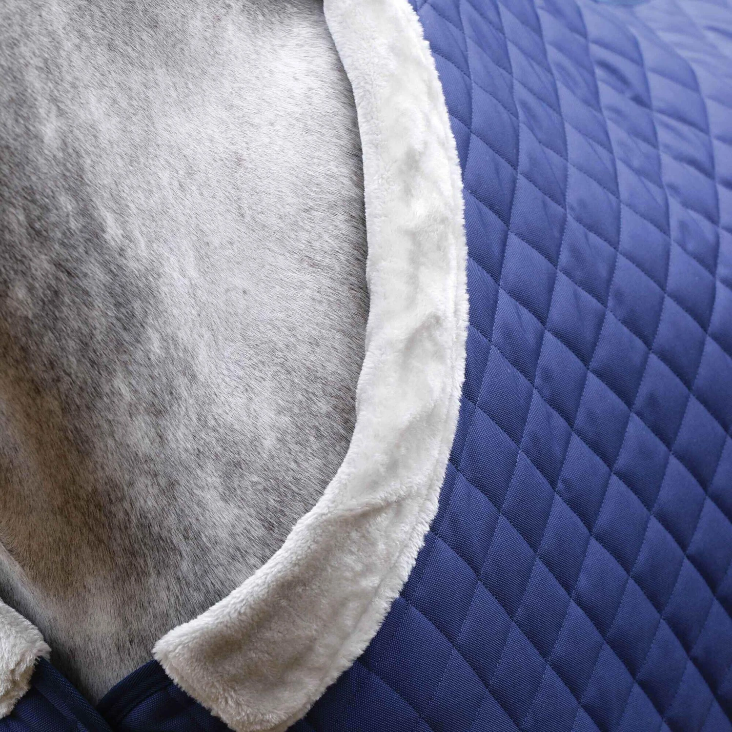 Weatherbeeta Comfitec Deluxe StandardNeck Quilted Midweight Horse Stable Rug (Navy) - Image 3