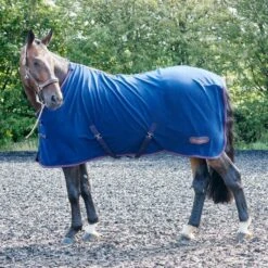 R204 Rastrick Fleece Horse Rug
