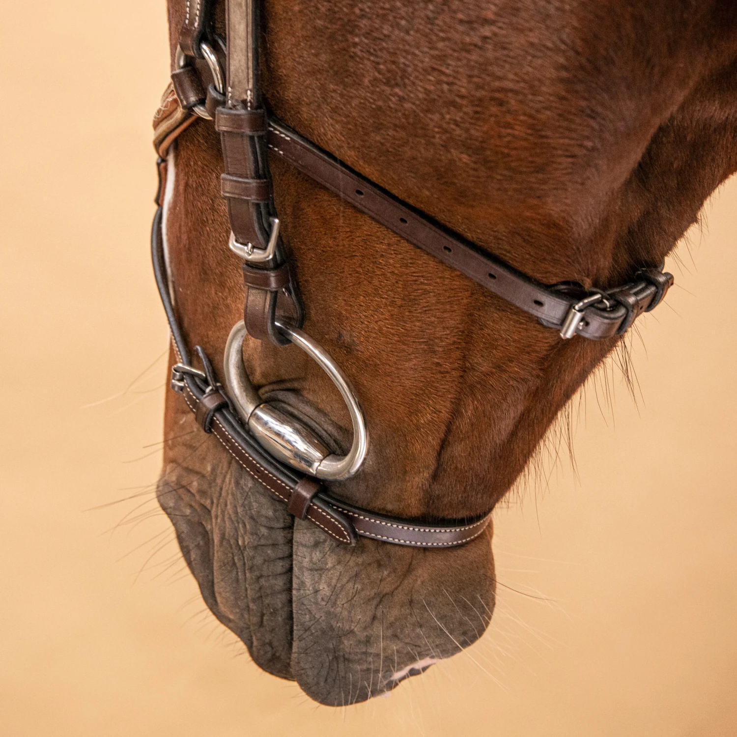 Horse Riding Crossed-Noseband Leather Bridle For Horse And Pony 580 - Image 16