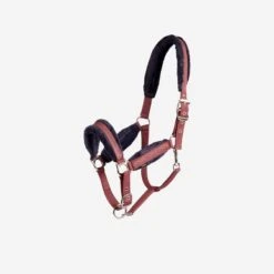 Winner Horse Riding Halter For Horse And Pony