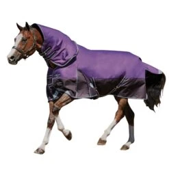 Weatherbeeta Comfitec Lite Plus Dynamic DetachANeck Turnout Rug (Purple/Black)