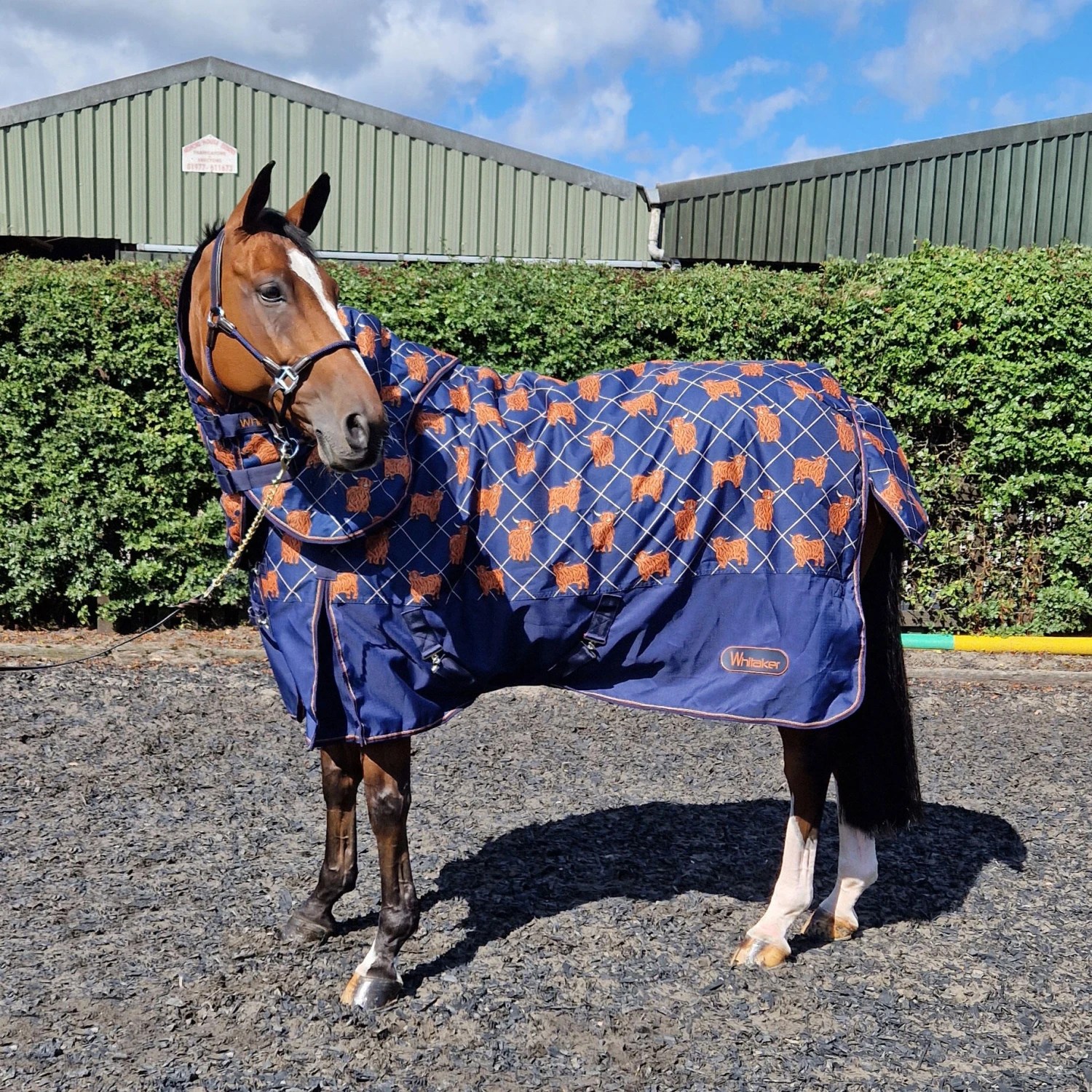 Angus 170g Medium Weight Combo Turnout - Image 2