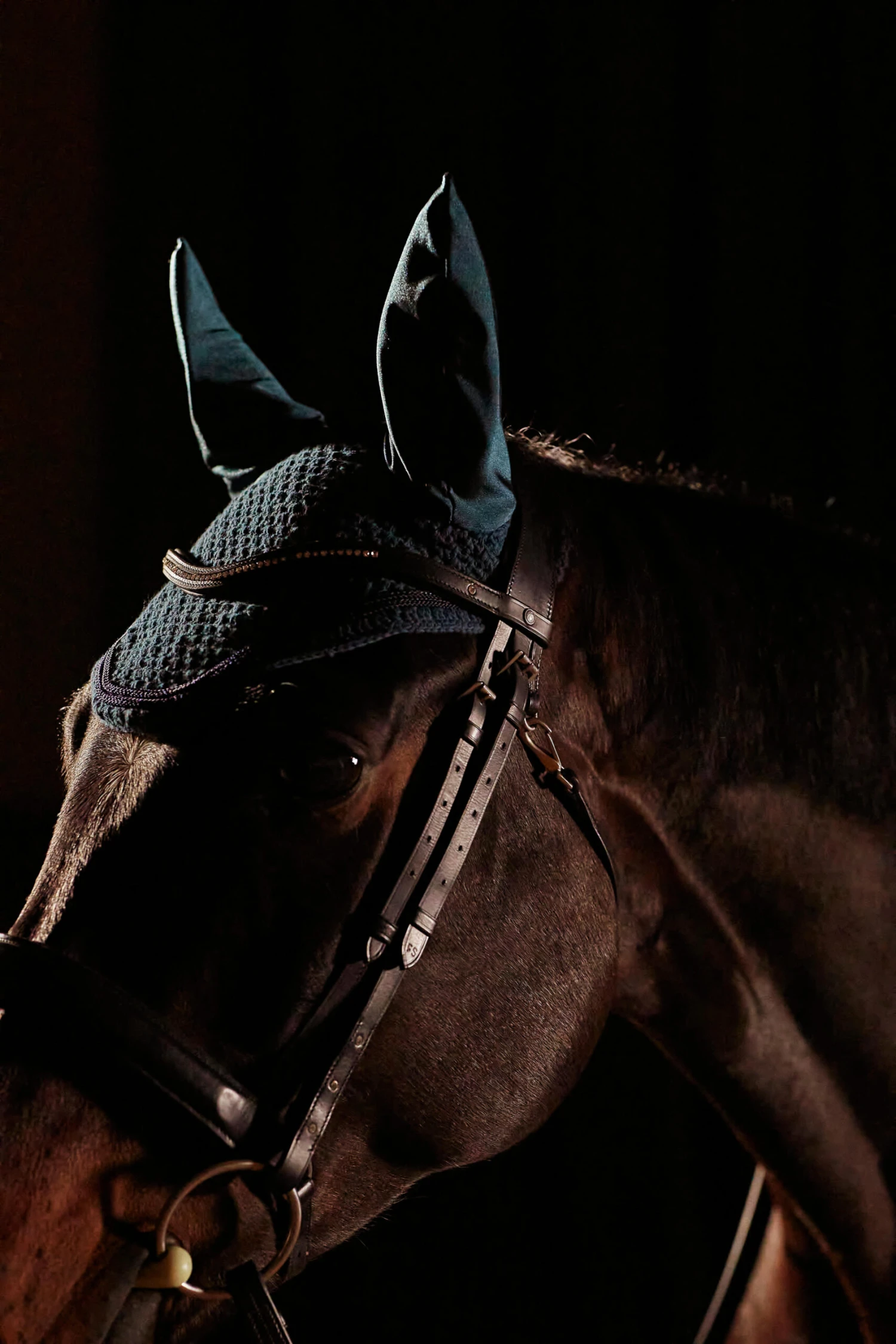 Horse Ear Net - Image 5