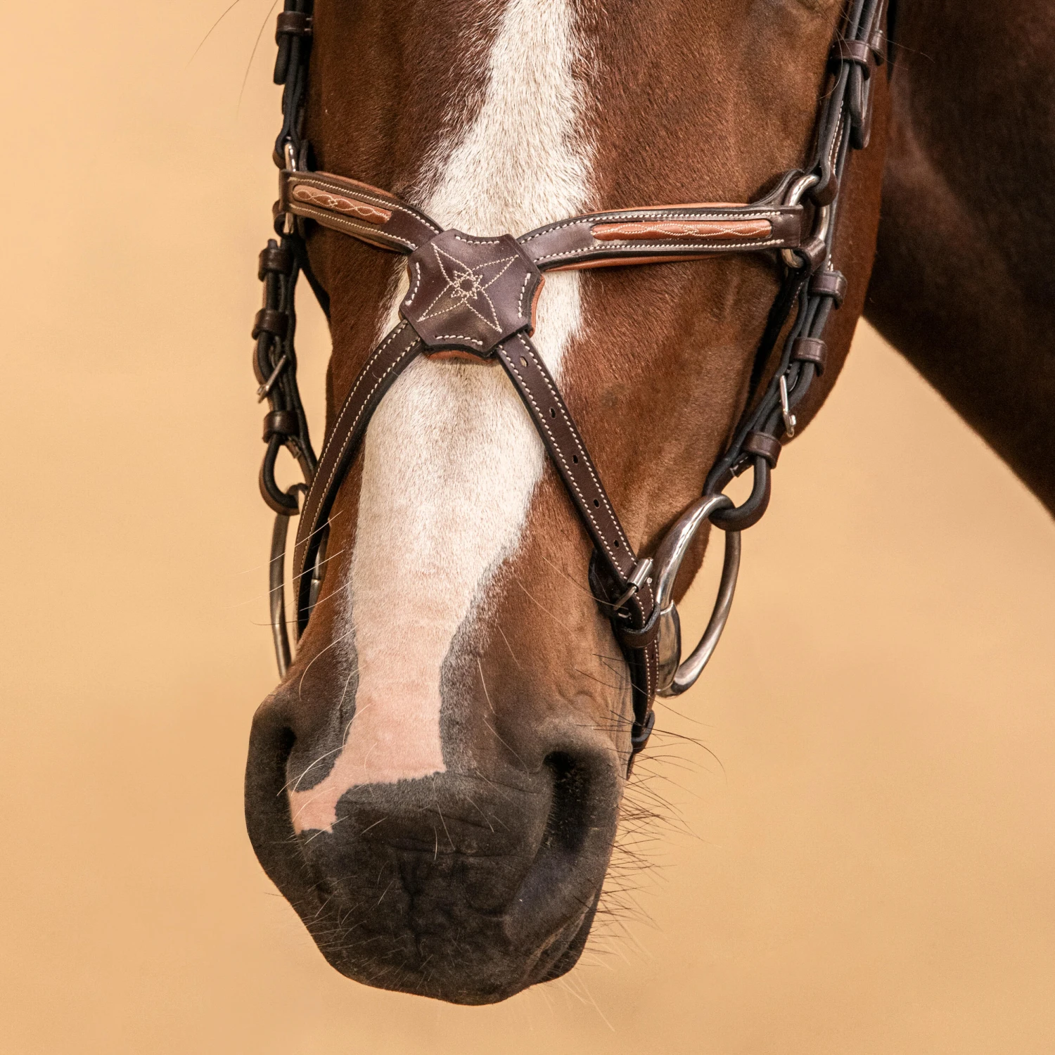 Horse Riding Crossed-Noseband Leather Bridle For Horse And Pony 580 - Image 15